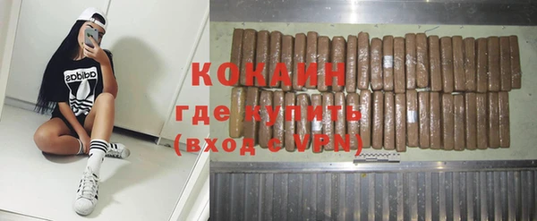индика Баксан