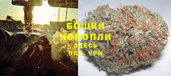 индика Баксан
