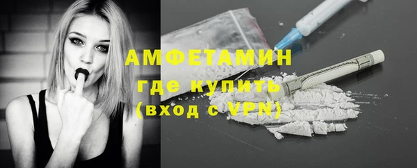индика Баксан