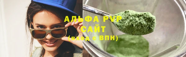 индика Баксан