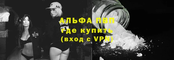 индика Баксан