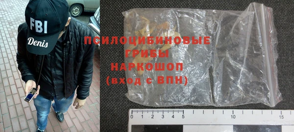 индика Баксан