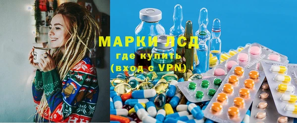 индика Баксан