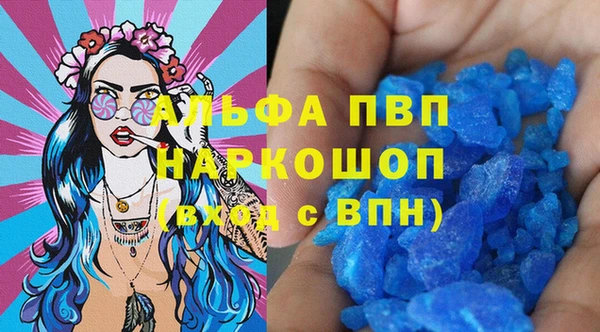 индика Баксан