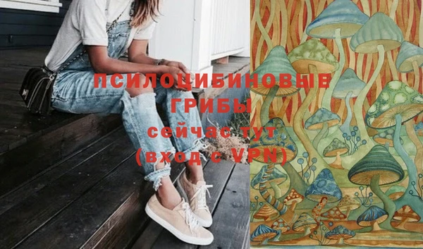 эйфоретик Балахна