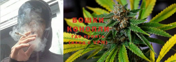 индика Баксан