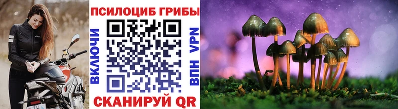 кракен ТОР  Вышний Волочёк  Галлюциногенные грибы прущие грибы 
